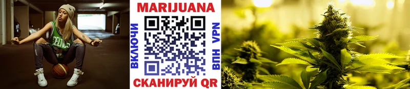 где найти наркотики Майкоп Бошки Шишки гибрид